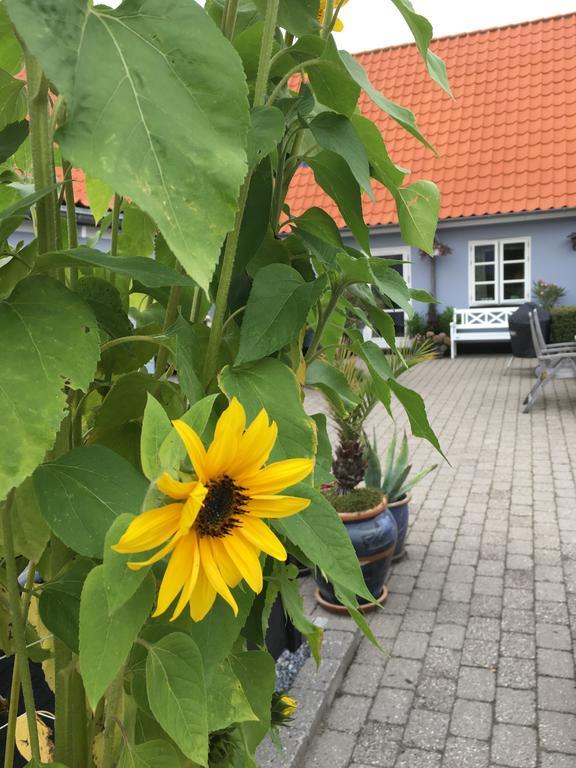 Ferienwohnung Ebeltoft Centrum Exterior foto
